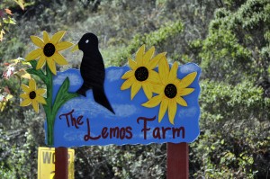 LemosFarm2013-001