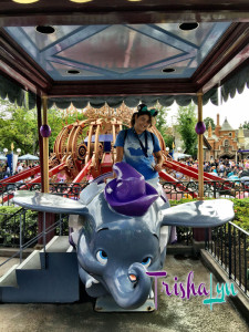 Disneyland2015-069