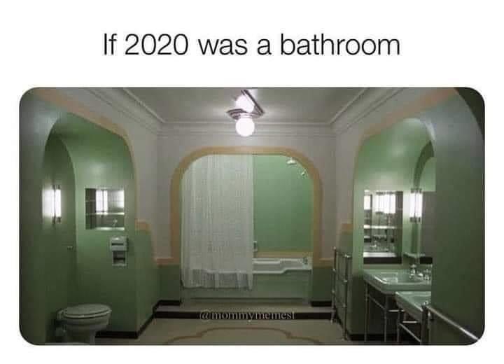 2020 Bathroom Meme