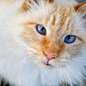 Selling My Photos on Fine Art America